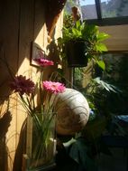 Photo n°5