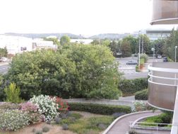 Photo n°2