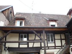 Photo n°4