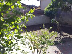Photo n°2