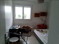 Photo n°13