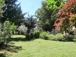 Photo n°6
