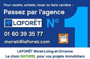 Photo n°5