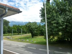 Photo n°6