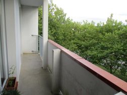 Photo n°4