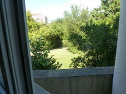 Photo n°3