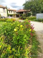 Photo n°1