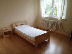 Photo n°3