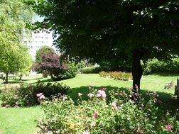 Photo n°1
