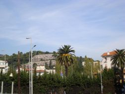 Photo n°2