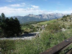 Photo n°5