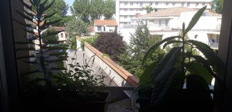 Photo n°5