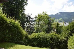 Photo n°6