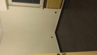 Photo n°4