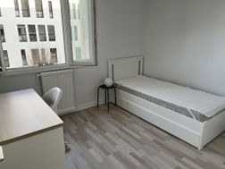 Photo n°3