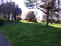 Photo n°8