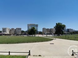 Photo n°1