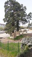 Photo n°6