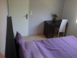 Photo n°3