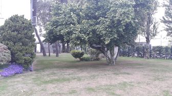 Photo n°6