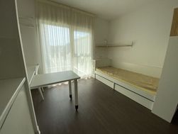 Photo n°2
