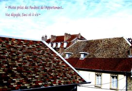 Photo n°2