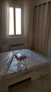 Photo n°2