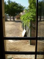 Photo n°6