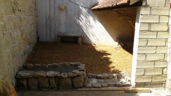 Photo n°4
