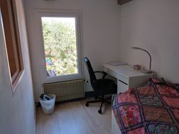 Photo n°3