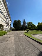 Photo n°5