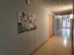 Photo n°6
