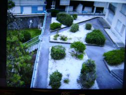 Photo n°2
