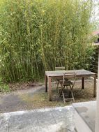 Photo n°4
