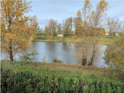 Photo n°1