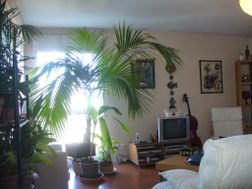 Photo n°1