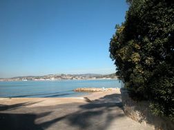 Photo n°1