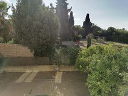 Photo n°5