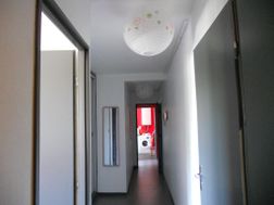 Photo n°4