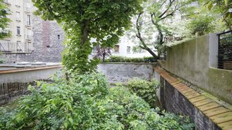 Photo n°4
