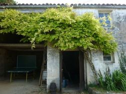 Photo n°4