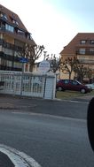 Photo n°6
