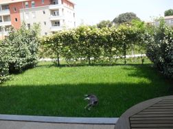 Photo n°1