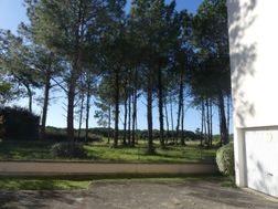 Photo n°1