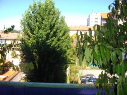 Photo n°2
