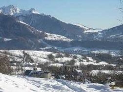 Photo n°6