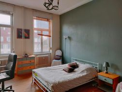 Photo n°8