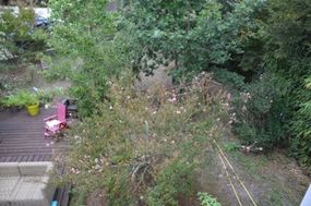 Photo n°4
