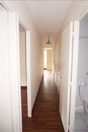 Photo n°4