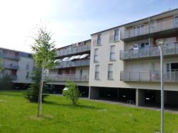 Photo n°3
